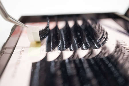 Curved stainless steel tweezer and black eyelash extension.の写真素材