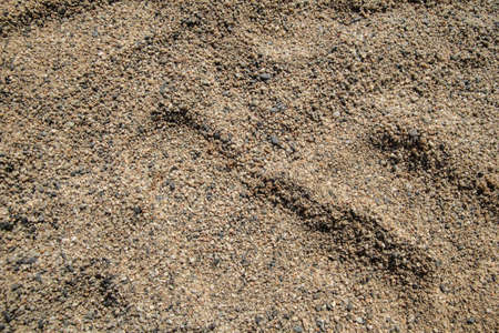 sand seaの写真素材
