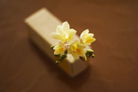 White Freesiaの写真素材