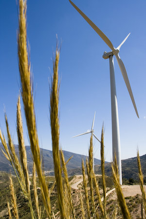 the windmillの写真素材