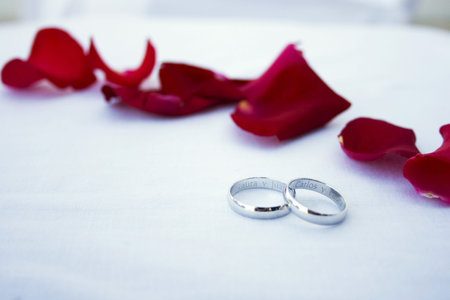 the wedding ringsの写真素材