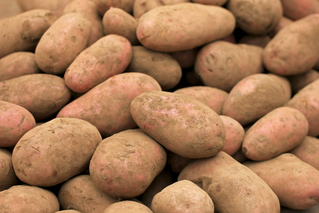 Fresh organic potatoes at farmers market, Chile, South Americaの写真素材