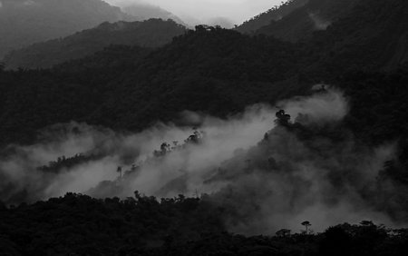 Layers of black and white cloudforest mountains in Ecuador, on the way down to the amazonas basin,...