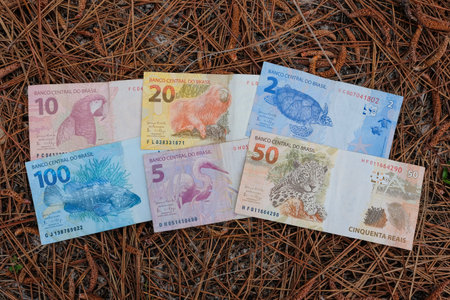 Reais, Real, brazilian money bills on dry brown pine needles background in the forest, two five ten...