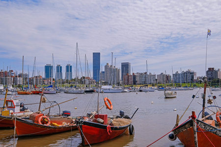 The view of the Montevideo skyline from Buceo Port Pier Harbor crowed of small fishing boats and ships along the Rio De La Plata, River Plate, Montevideo Uruguay, South Americaの写真素材