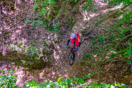 Unrecognisable mountain biker rides a canyon overgrown with moss that looks like a jungle, Massa Marittima, Tuscany, Italyの写真素材