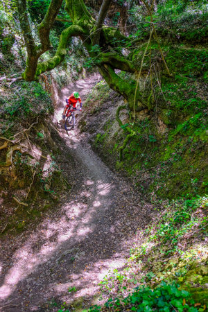 Unrecognisable mountain biker rides a canyon overgrown with moss that looks like a jungle, Massa Marittima, Tuscany, Italyの写真素材