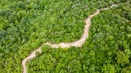Unrecognisable mountain bikers riding on a beautiful winding single track, aerial view, Massa Marittima, Tuscany, Italyの写真素材