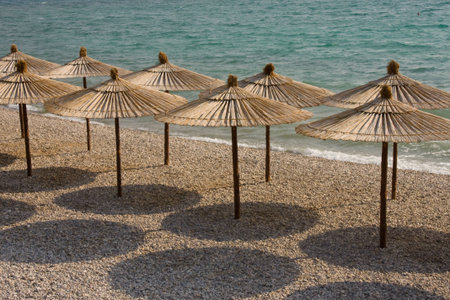 Reed umbrellas on beachの写真素材