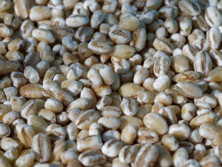 Wheat grains macroの写真素材