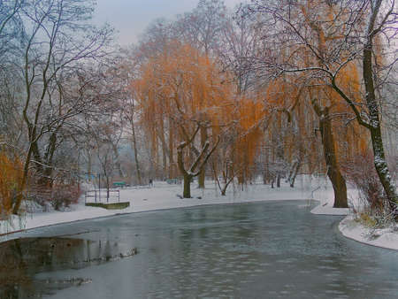 Snowy park and frozen lake in our city parkの写真素材