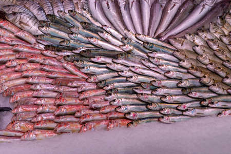 different types of sea fish on ice on market shelf staying fresh for cooking health dinnerの写真素材