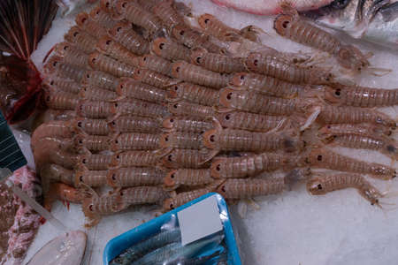 Frozen shrimps on top of the ice in the market stallの写真素材