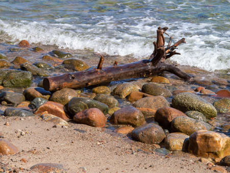 Trunk on the beach between colorful wet rocksの写真素材