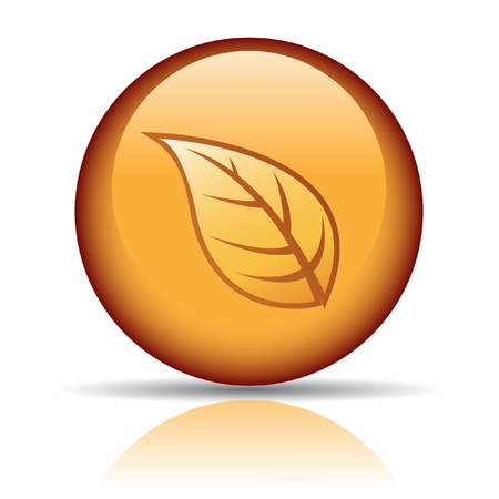 Golden fall isolated on whiteのイラスト素材