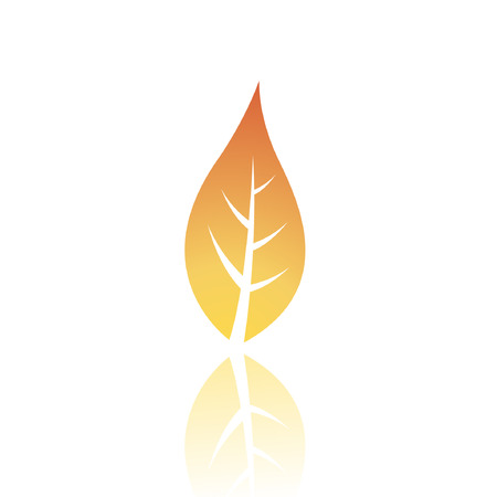 Brown leaf isolated on whiteのイラスト素材