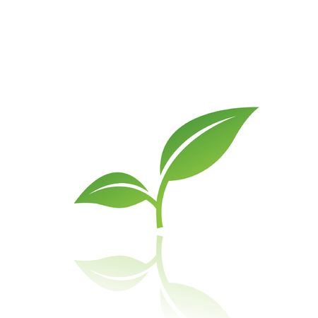 Green leaf isolated on whiteのイラスト素材