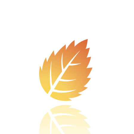 Brown leaf isolated on whiteのイラスト素材