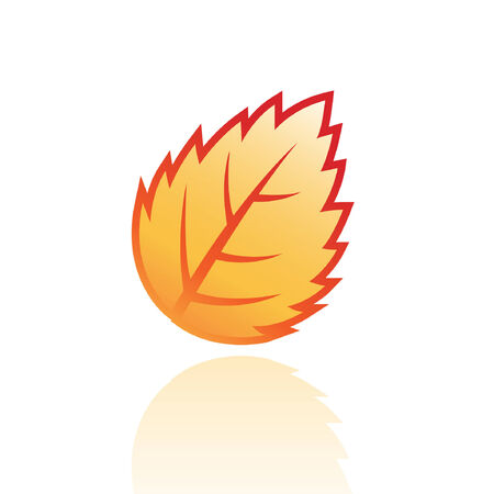 Glossy brown leaf isolated on whiteのイラスト素材