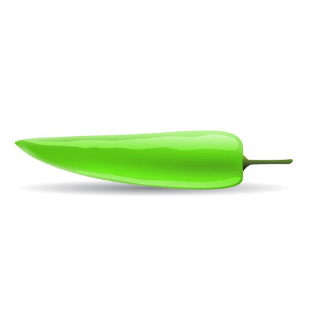 Green pepper isolated on whiteのイラスト素材