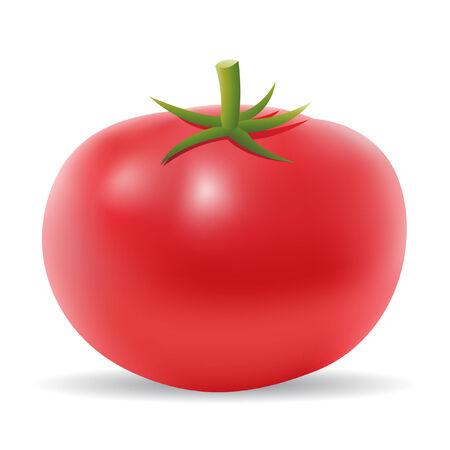 3d tomato isolated on whiteのイラスト素材