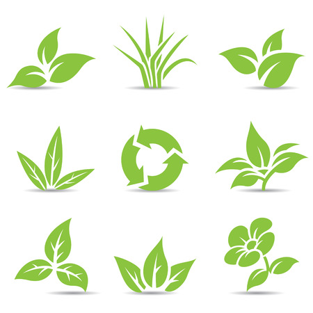Vector Illustration of Green Leaves isolated on whiteのイラスト素材