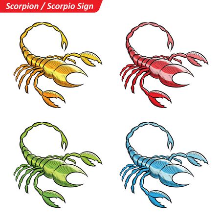 Vector Illustration of Colorful Scorpio Astrological Zodiac Star Signs Sketchのイラスト素材