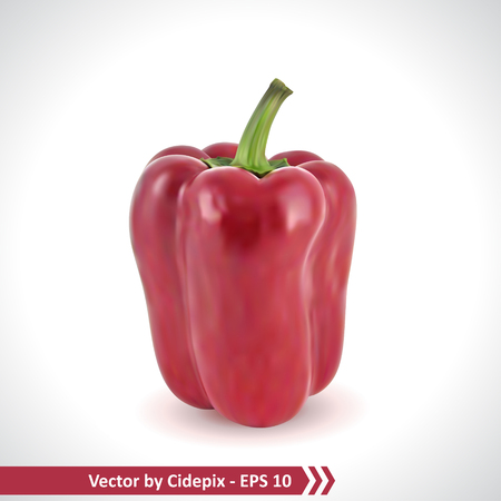 Gradient Mesh Vector Illustration of a Photo Realistic Red Pepperのイラスト素材