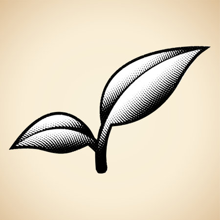 Illustration of Scratchboard Engraved Leaf Branch isolated on a Beige Backgroundのイラスト素材