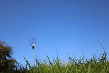 light bulb, grass and blue skyの写真素材