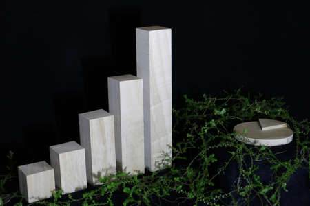 wood bar graph and pie chart modelの写真素材