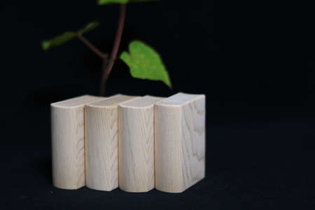 miniature toy booksの写真素材