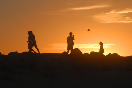 Romantic couples taking pictures and walking at sunsetの写真素材