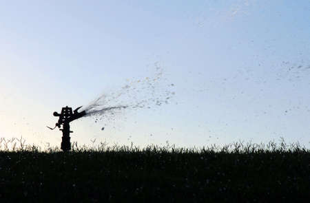 Lawn sprinkler silhouette spraying water in the grassの写真素材