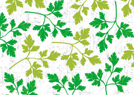 Parsley wallpaper vertical on white background.のイラスト素材
