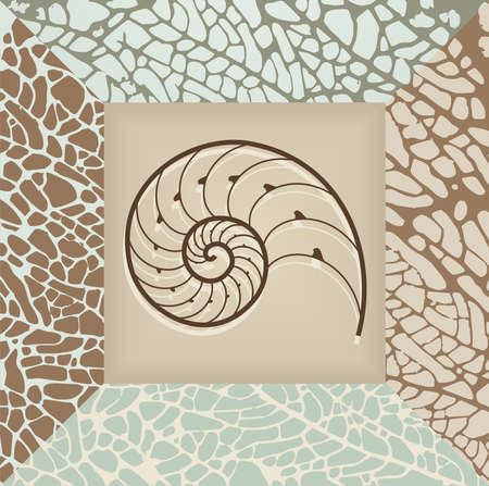 Nautilus shell illustration on brown and beige background のイラスト素材