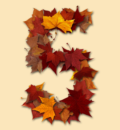 Number 5 drop shadow made with autumn leaves Isolated with clipping path, so you can easily cut it out and place over the top of a design. Find others types in our portfolio to compose your own words.の写真素材