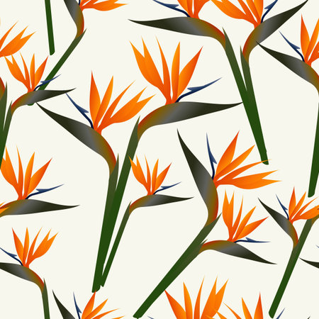 SSpring time contemporary bird of the paradise flowers seamless pattern. Vector file layered for easy manipulation and custom coloring.のイラスト素材