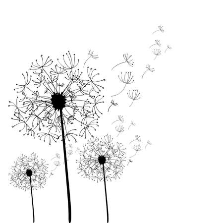 Hand drawn dandelion isolated over white background. file layered for easy manipulation and custom coloring.のイラスト素材