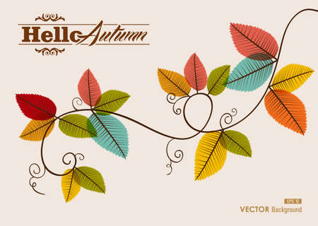 Hello autumn text tree branches with transparent leaves backgroundのイラスト素材