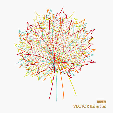 Fall season colorful leaves silhouettes  Abstract autumn composition  のイラスト素材