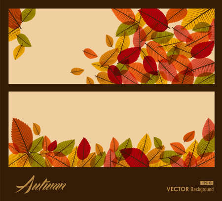 Autumn text over frame with flying leaves.  Fall season composition background  のイラスト素材