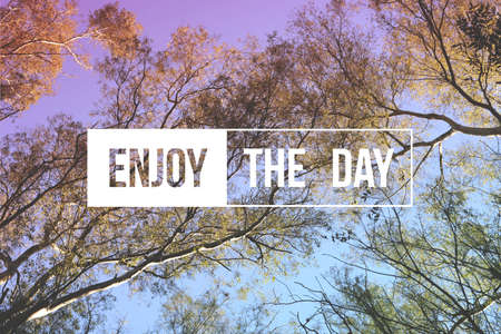 Enjoy the day motivational inspiration quote concept tree landscape. Soft light color hipster style ideal for print card and poster design.の写真素材