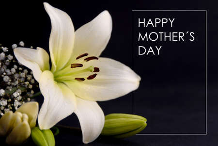 Happy Mother day retro flower background with copy space ideal for greeting card and poster design.の写真素材