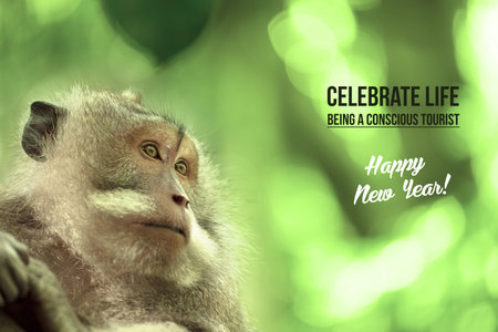 Wild monkey portrait in natural habitat, happy new year design with wildlife conservation tourism...
