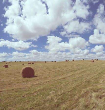 Cloudy summer day on the farm, rural landscape with hay bale rolls in the distance.の写真素材
