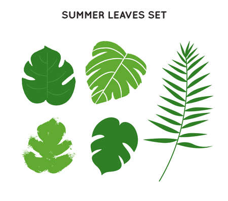 Tropical summer leaves set, hand drawn green palm tree leaf collection on isolated background.のイラスト素材