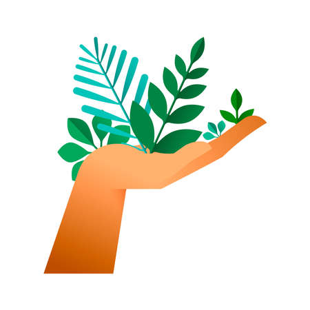 Human hand holding green leaves, cupping gesture on isolated background. Nature help concept or environment conservation illustration.のイラスト素材