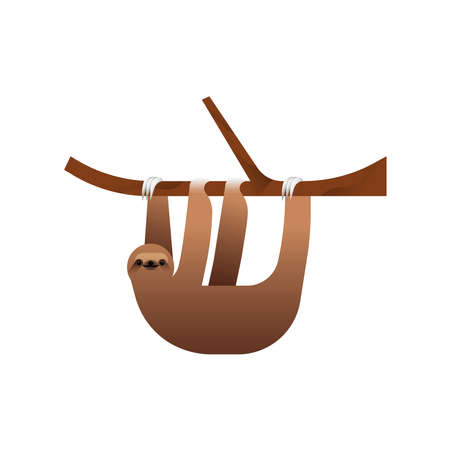 Sloth illustration hanging from tree branch on isolated white background. Exotic jungle animal concept. Educational wildlife design in modern cartoon style.のイラスト素材