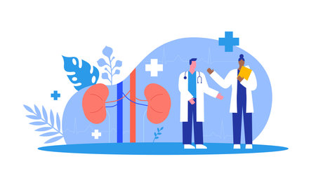 Doctor people team doing medical study or science research on human kidney. Urology specialist...
